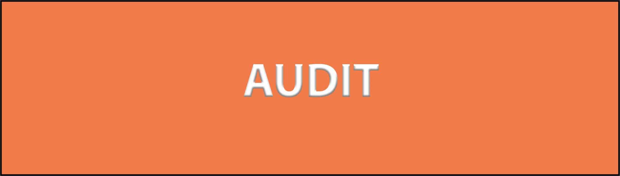 AUDIT