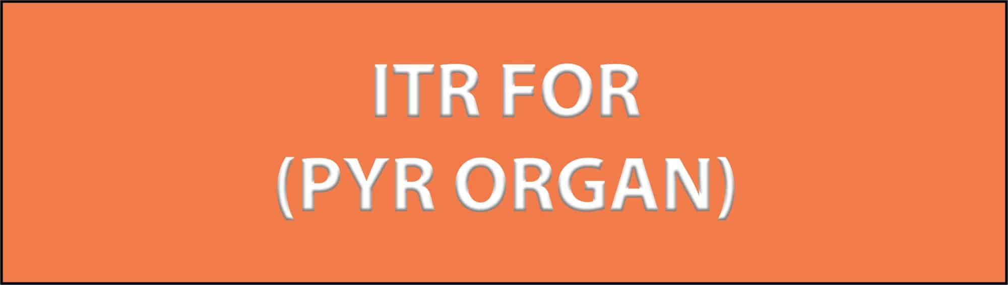 ITR For PYR Organisation